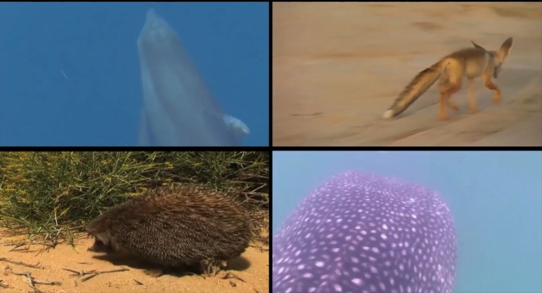 尊龙凯时人生就是搏·Z6(中国区)官方网站