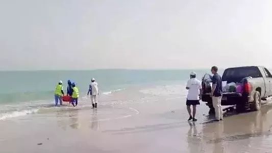 尊龙凯时人生就是搏·Z6(中国区)官方网站