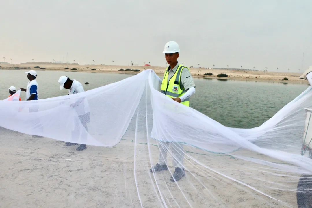 尊龙凯时人生就是搏·Z6(中国区)官方网站