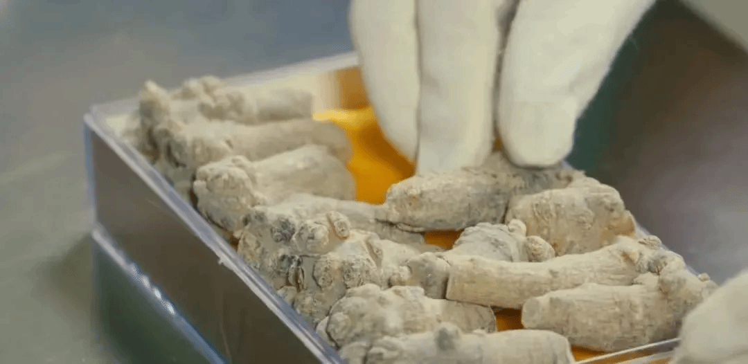 尊龙凯时人生就是搏·Z6(中国区)官方网站