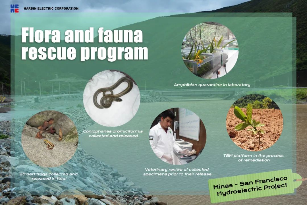 尊龙凯时人生就是搏·Z6(中国区)官方网站