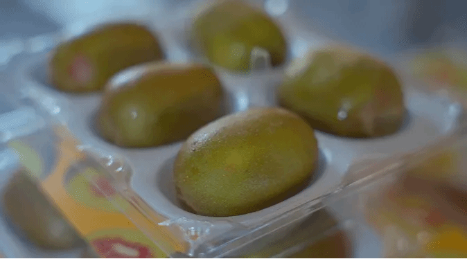 尊龙凯时人生就是搏·Z6(中国区)官方网站