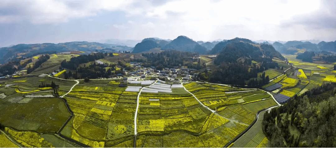 尊龙凯时人生就是搏·Z6(中国区)官方网站