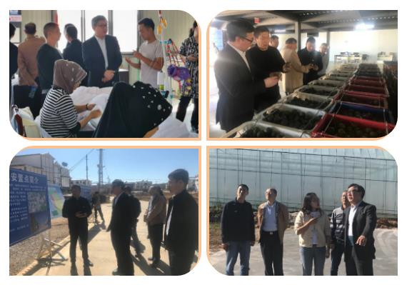 尊龙凯时人生就是搏·Z6(中国区)官方网站