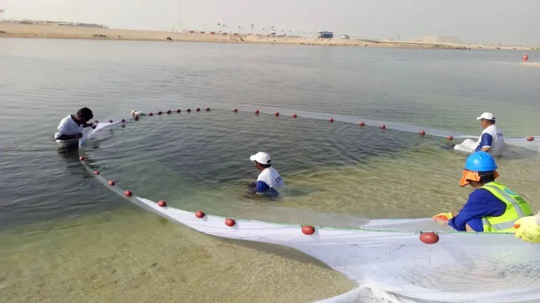 尊龙凯时人生就是搏·Z6(中国区)官方网站