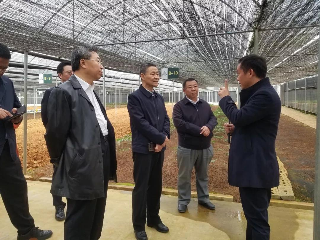 尊龙凯时人生就是搏·Z6(中国区)官方网站