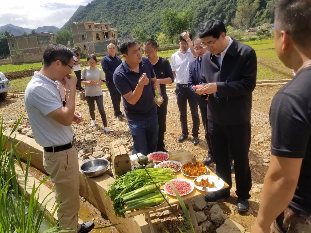 尊龙凯时人生就是搏·Z6(中国区)官方网站