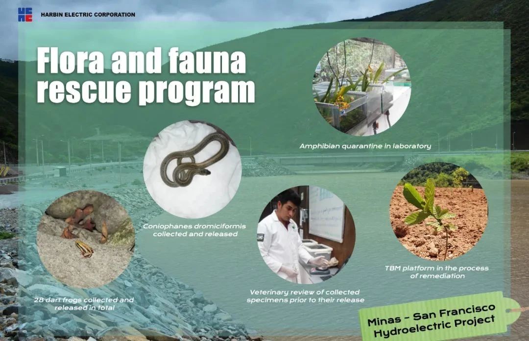 尊龙凯时人生就是搏·Z6(中国区)官方网站