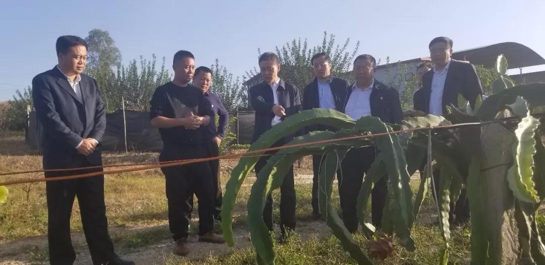 尊龙凯时人生就是搏·Z6(中国区)官方网站