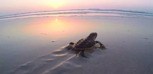 尊龙凯时人生就是搏·Z6(中国区)官方网站