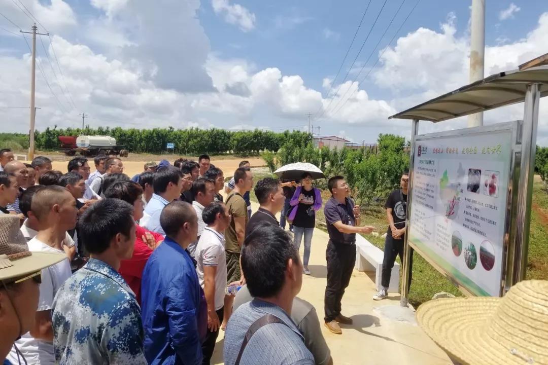 尊龙凯时人生就是搏·Z6(中国区)官方网站