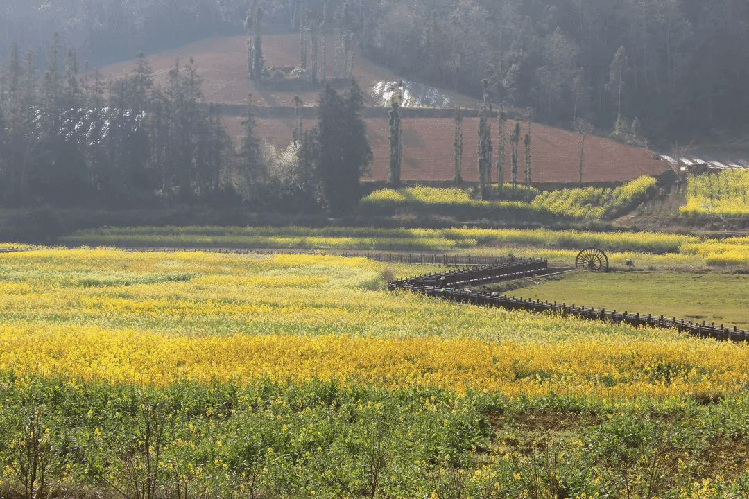 尊龙凯时人生就是搏·Z6(中国区)官方网站