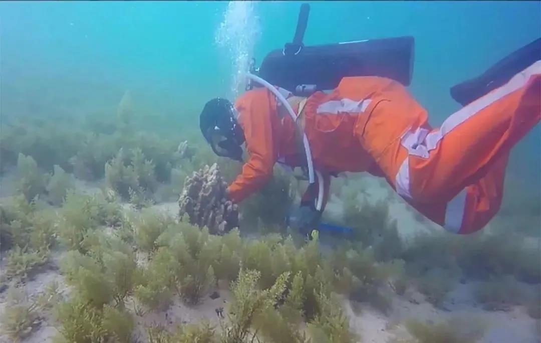 尊龙凯时人生就是搏·Z6(中国区)官方网站